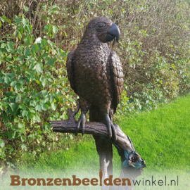 Bronzen beeld papegaai BBW1147