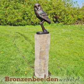 Beeld kerkuil van brons BBW1428br