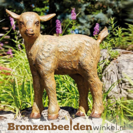 Beeld geitje van brons BBWR88853