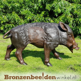 Tuinbeeld zwijn van brons BBW56170