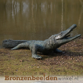 Bronzen alligator als fontein BBWB844