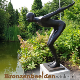 Waterornament tuin idee ''De duiker'' BBW1348br