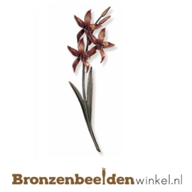 Beeld orchidee BBW20148