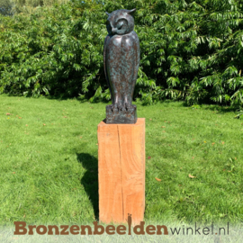 Bronzen uil beeld BBW94533br