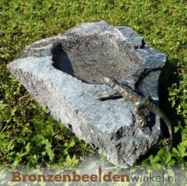 Vogeldrinkschaal met salamander BBWR994349