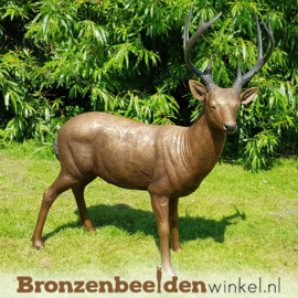 NR 1 | Cadeau man 64 jaar ''Bronzen beeld hert mannelijk'' BBW971