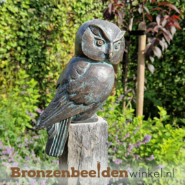 Bronzen uilenbeeldje BBWR89067