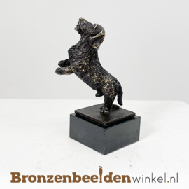 NR 2 | Cadeau hondenliefhebber "Enthousiaste ruwharige teckel" BBW043br05