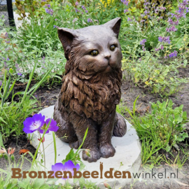 Bronzen Perzische kat beeld BBW1459