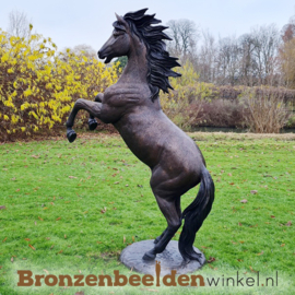 Bronzen steigerend paard tuinbeeld BBWB1109