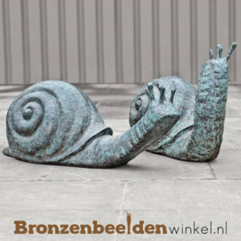 Grote reuzenslak beelden BBW0417br