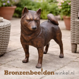 Hond beeld Shiba Inu in brons BBW22110