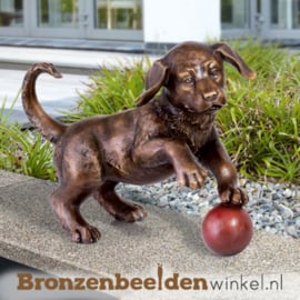 Bronzen beeld spelende hond BBW37218