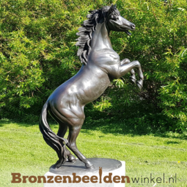 Tuinbeeld steigerend paard BBW1096br