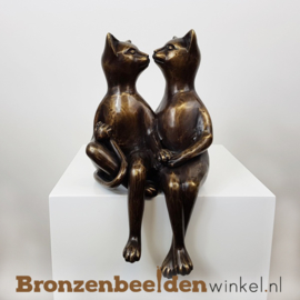 Grappig cadeau voor bruidspaar "Poezen stelletje" BBW1844br