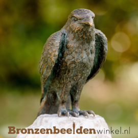 Bronzen rode wouw havik beeld BBWR88776