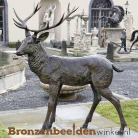 Beeld hert brons voor in de tuin BBW1342br