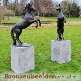 Grote paarden beelden entree - oprijlaan BBW1096br