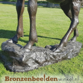 Bronzen hert op rots BBW67010