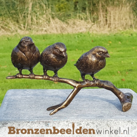 NR 6 | Cadeau vrouw 56 jaar ''Bronzen mussen op tak'' BBW0399br