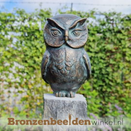 Bronzen uilenbeeldje BBWR89066