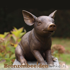 Bronzen varkens en zwijnen