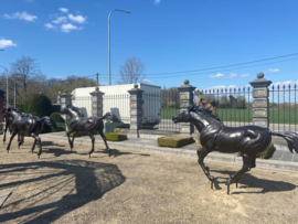 Vier galopperende paarden van brons BBW111999
