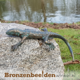 Vogeldrinkschaal natuursteen met 3 salamanders BBWR994348