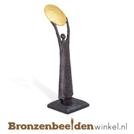 Binnen beeld "Zonaanbidder" BBW84248