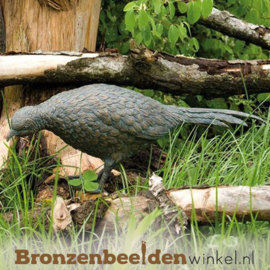 Bronzen fazant beeld BBWR88281