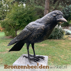 Bronzen kraai beeld BBWR88413