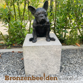 Hond beeld Franse Buldog in brons BBW1412br