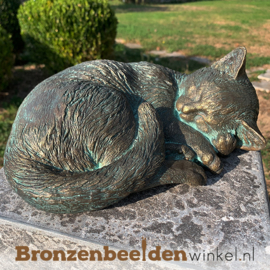 Bronzen slapende kat beeld BBWR89020