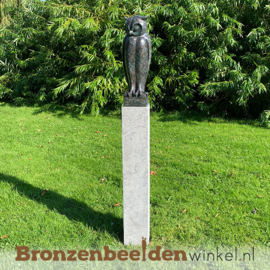 Bronzen uil beeld BBW94533br