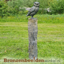 Beeld uil "Oehoe" brons BBWR88878