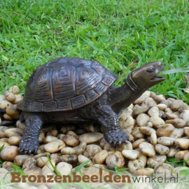 Bronzen beeld schildpad BBWAN3392br