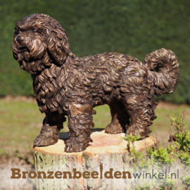 Hond beeld Labradoodle in brons BBW58454