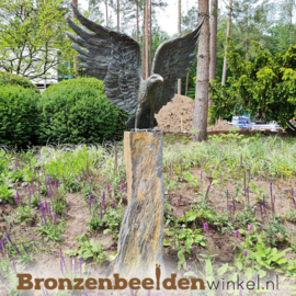 Beeld adelaar brons BBWR88859