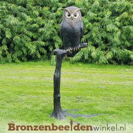 Groot uilen beeld BBW57490