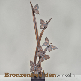 Vlinders voor as BBW60211as