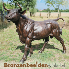 Groot bronzen stieren beeld BBW96999