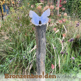 Gedenksteen met vlinder op sokkel BBW20355