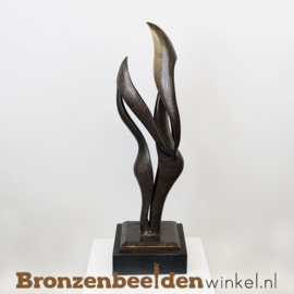 NR 5 | 13 jaar getrouwd cadeau "Verbondenheid" BBW2235br