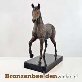 Beeldje paard van brons BBW1355br