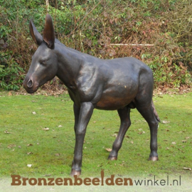 Bronzen ezel beeld BBW94312