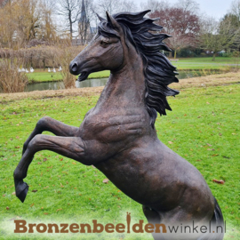 Groot steigerend paard beeld BBWB1109