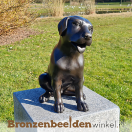 Gedenksteen hond "Labrador" BBW0678gd