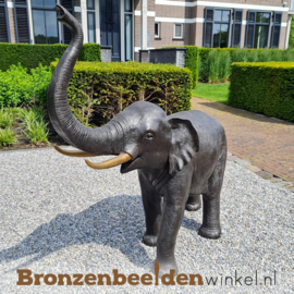 Bronzen beeld olifant BBW944