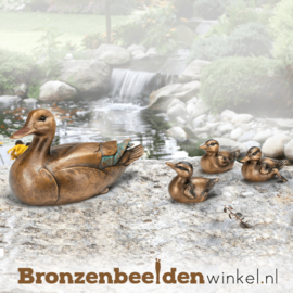 Bronzen eend met kuikens BBW37270