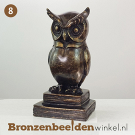 NR 8 | Cadeau advocaat ''Wijze uil op boeken'' BBW033br03